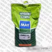 فروش بذر ذرت مای رقم 89 MAY 70 در اصفهان در گروه خرید و فروش بذر ذرت در یکمیوه