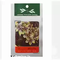 قیمت خرید بذر ریحان ابلق در ارومیه در گروه خرید و فروش بذر سبزی در یکمیوه