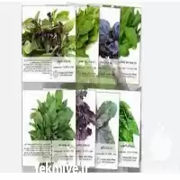 فروش انواع بذر ریحان در ارومیه در گروه خرید و فروش بذر سبزی در یکمیوه