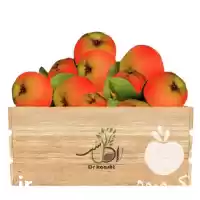 فروش عمده نهال به قرمز در ارومیه در گروه خرید و فروش نهال به در یکمیوه