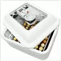 قیمت خرید دستگاه جوجه کشی خانگی در رشت در گروه تجهیزات مرغداری در یکمیوه