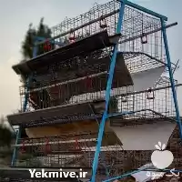 فروش بهترین قیمت قفس مرغ تخمگذار در ارومیه در گروه تجهیزات مرغداری در یکمیوه