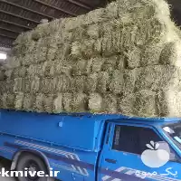 قیمت خرید یونجه خشک در مشهد در گروه خوراک دام و طیور در یکمیوه