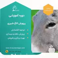 آموزش تخصصی پرورش الاغ شیری در تهران در گروه دوره آموزش کشاورزی در یکمیوه
