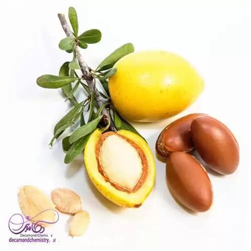 فروش روغن آرگان اصل در گروه خرید و فروش انواع روغن در یکمیوه -عکس1