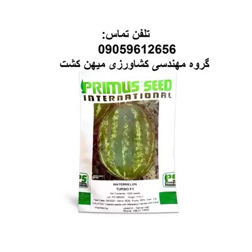بذر هندوانه توربو در کرمانشاه در گروه خرید و فروش بذر هندوانه در یکمیوه -عکس1
