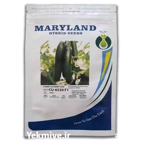 قیمت خرید بذر خیار گلخانه ای در گروه خرید و فروش بذر خیار در یکمیوه -عکس1