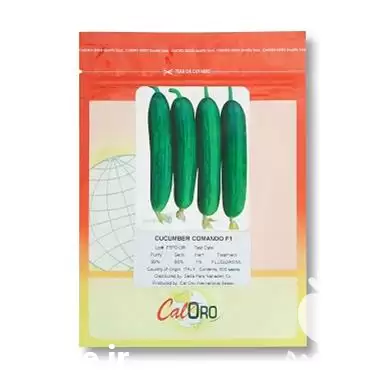 قیمت خرید بذر خیار گلخانه ای در بیرجند در گروه خرید و فروش بذر خیار در یکمیوه -عکس1