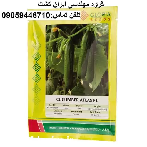 قیمت خرید بذر خیار  در اصفهان در گروه خرید و فروش بذر خیار در یکمیوه -عکس1