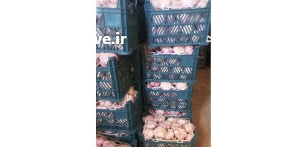 حجره دار تره بار تبریز در آذربایجان شرقی در گروه حق العمل کاری محصولات کشاورزی در یکمیوه -عکس1