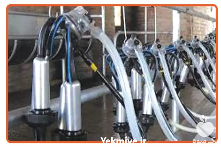 قیمت خرید دستگاه شیردوش ثابت خطی در گروه تجهیزات دامداری در یکمیوه -عکس1