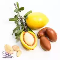 فروش روغن آرگان اصل در گروه خرید و فروش انواع روغن در یکمیوه