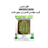 بذر هندوانه توربو در کرمانشاه در گروه خرید و فروش بذر هندوانه در یکمیوه
