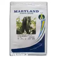 قیمت خرید بذر خیار گلخانه ای در گروه خرید و فروش بذر خیار در یکمیوه