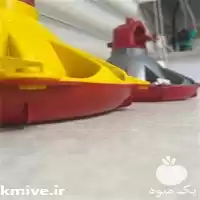 قفس بلدرچین فروش آبخوری در ارومیه در گروه تجهیزات مرغداری در یکمیوه