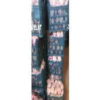 حجره دار تره بار تبریز در آذربایجان شرقی در گروه حق العمل کاری محصولات کشاورزی در یکمیوه