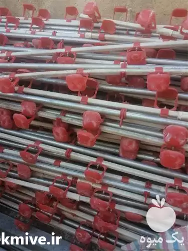 فروش آبخوری نیپل ترک استیل دست در اهواز در گروه تجهیزات مرغداری در یکمیوه -عکس1