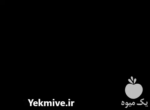 قیمت خرید بذر یونجه دیمی در گروه خرید و فروش بذر یونجه در یکمیوه -عکس1