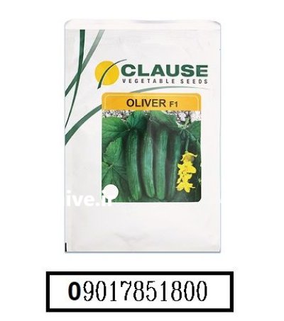 فروش بذر خیار الیور کلوز OLIVER در اهواز در گروه خرید و فروش بذر خیار در یکمیوه -عکس1