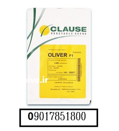 فروش بذر خیار الیور کلوز OLIVER در اهواز در گروه خرید و فروش بذر خیار در یکمیوه -عکس2