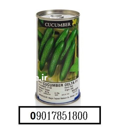 فروش بذر خیار دلتا اینفینیتی سیدز در اهواز در گروه خرید و فروش بذر خیار در یکمیوه -عکس1