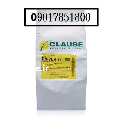 فروش بذر ذرت درایور کلوز سوپر در کرمانشاه در گروه خرید و فروش بذر ذرت در یکمیوه -عکس1