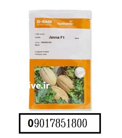 بذر ملون جانا JANNA باسف المان در کرمانشاه در گروه خرید و فروش بذر ملون در یکمیوه -عکس1