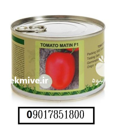 فروش بذر گوجه متین Matin در اهواز در گروه خرید و فروش بذر گوجه در یکمیوه -عکس1