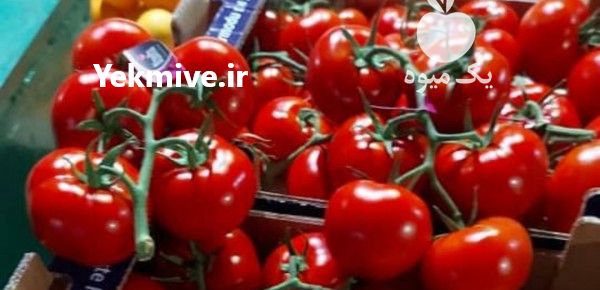 قیمت خرید مستقیم انواع محصولات گلخانه در تهران در گروه خرید و فروش توت فرنگی در یکمیوه -عکس1