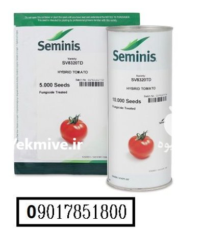 فروش بذر گوجه 8320 سمینیس بذر در بجنورد در گروه خرید و فروش بذر گوجه در یکمیوه -عکس1