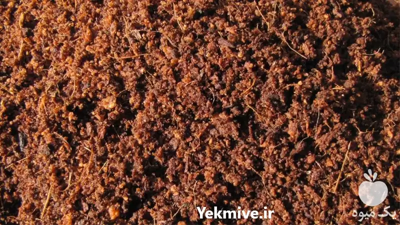 فروش خاک کوکوپیت بصورت عمده در تهران در گروه خرید و فروش انواع کود کشاورزی در یکمیوه -عکس1