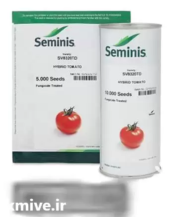 فروش بذر گوجه 8320 سمینیس بذر در گروه خرید و فروش بذر گوجه در یکمیوه -عکس1