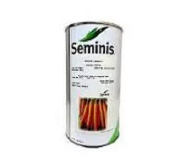 قیمت خرید بذر هویج فورتو سمینیس در شیراز در گروه خرید و فروش بذر هویج در یکمیوه -عکس1