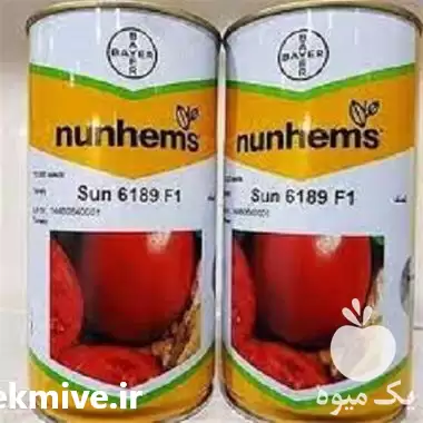 قیمت خرید بذر گوجه فرنگی 6189 در شیراز در گروه خرید و فروش بذر گوجه در یکمیوه -عکس1