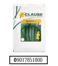 فروش بذر خیار الیور کلوز OLIVER در اهواز در گروه خرید و فروش بذر خیار در یکمیوه