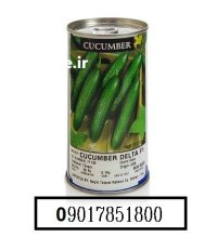 فروش بذر خیار دلتا اینفینیتی سیدز در اهواز در گروه خرید و فروش بذر خیار در یکمیوه