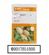 بذر ملون جانا JANNA باسف المان در کرمانشاه در گروه خرید و فروش بذر ملون در یکمیوه