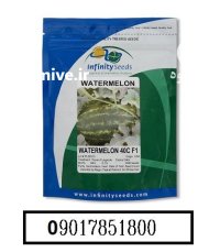 بذر هندوانه کریمسون سوئیت 40 سی در گروه خرید و فروش بذر هندوانه در یکمیوه