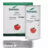 فروش بذر گوجه 8320 سمینیس بذر در گروه خرید و فروش بذر گوجه در یکمیوه