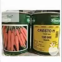 عرضه فروش بذر هویج پریستو ویلمورین در گروه خرید و فروش بذر هویج در یکمیوه