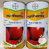 قیمت خرید بذر گوجه فرنگی 6189 در شیراز در گروه خرید و فروش بذر گوجه در یکمیوه