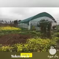 فروش 	عرضه انواع توری های سایبان در تهران در گروه خرید و فروش توری گلخانه در یکمیوه