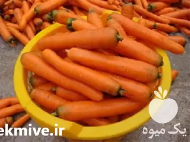 قیمت خرید بذر هویج استاندارد فورتو در هرمز در گروه خرید و فروش بذر هویج در یکمیوه -عکس1