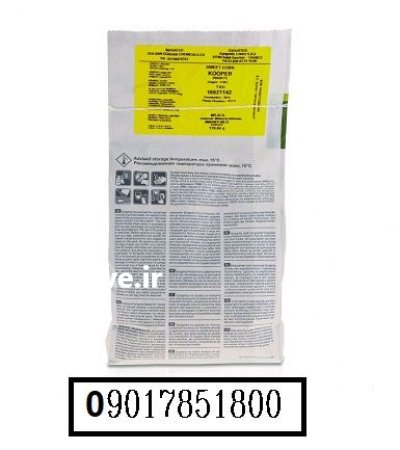 بذر ذرت شیرین کوپر KOOPER سینجینتا در اهواز در گروه خرید و فروش انواع بذر در یکمیوه -عکس2