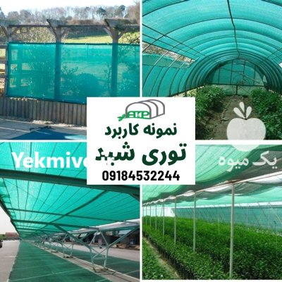 توری شید سایبان در گروه خرید و فروش توری گلخانه در یکمیوه -عکس1