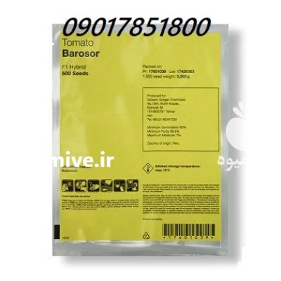 بذر گوجه فرنگی گلخانه ای باروسور در اهواز در گروه خرید و فروش بذر گوجه در یکمیوه -عکس1