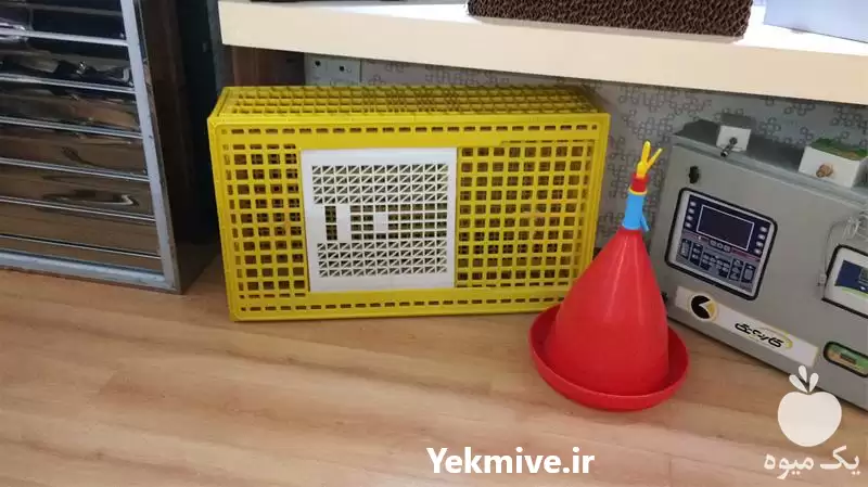 فروش قفس حمل مرغ در مشهد در گروه تجهیزات مرغداری در یکمیوه -عکس1