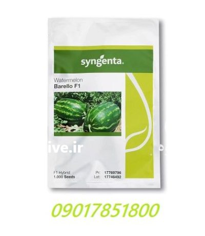 بذر هندوانه بارلو Barello سینجینتا در اهواز در گروه خرید و فروش بذر هندوانه در یکمیوه -عکس1