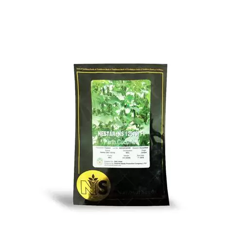 عرضه فروش بذر خیار گلخانه ای در مشهد در گروه خرید و فروش بذر خیار در یکمیوه -عکس1