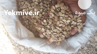 تخمه خام تازه پرمغز در گروه خرید و فروش انواع تخمه در یکمیوه -عکس1